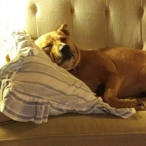 Meet your Posher, Tatiana